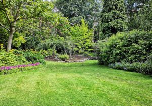Optimiser l'expérience du jardin à Vignemont
